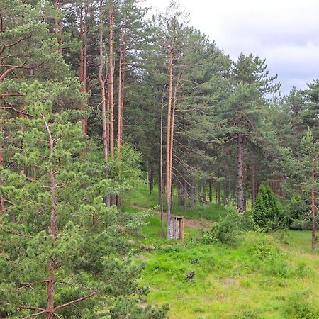 Zlatibor Holiday, Vila Leonardo VI Kültér fotó