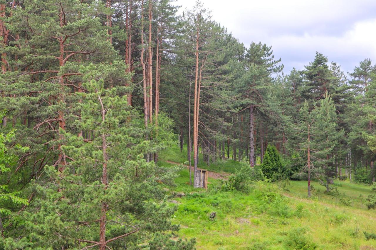 Zlatibor Holiday, Vila Leonardo VI Kültér fotó