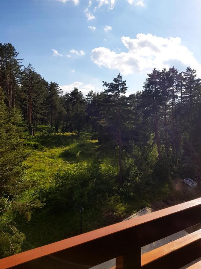 Zlatibor Holiday, Vila Leonardo VI Kültér fotó