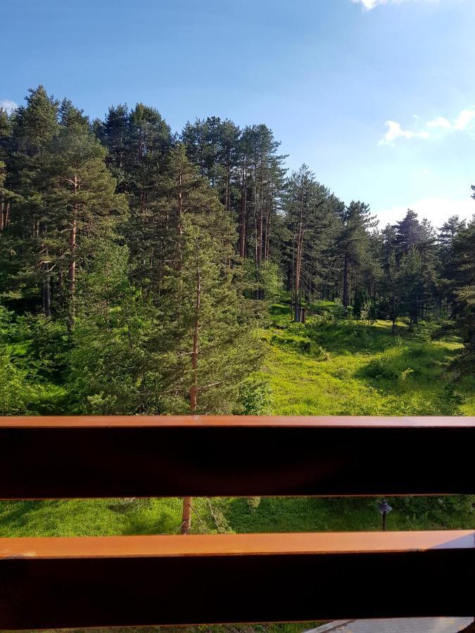 Zlatibor Holiday, Vila Leonardo VI Kültér fotó